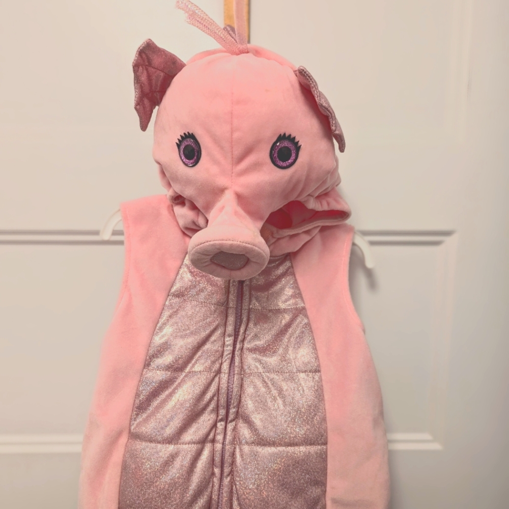 Infant seahorse costume